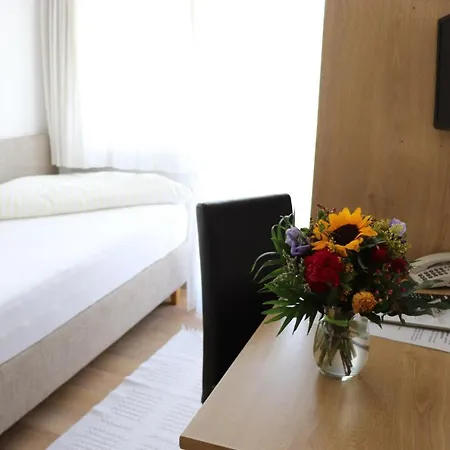 Hotel Theresia Garni 3*